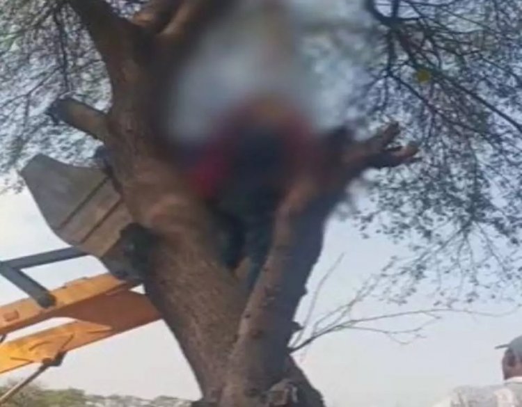 दिल दहला देने वाला मामला : एक ही फंदे में लटकता मिला अधेड़ और युवती का शव, जताई जा रही ये आशंका, जांच में जुटी पुलिस…