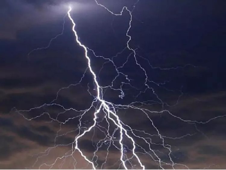 छत्तीसगढ़: मौसम और विद्युत विभाग की लापरवाही ने ली जानें, किसानों को भारी नुकसान