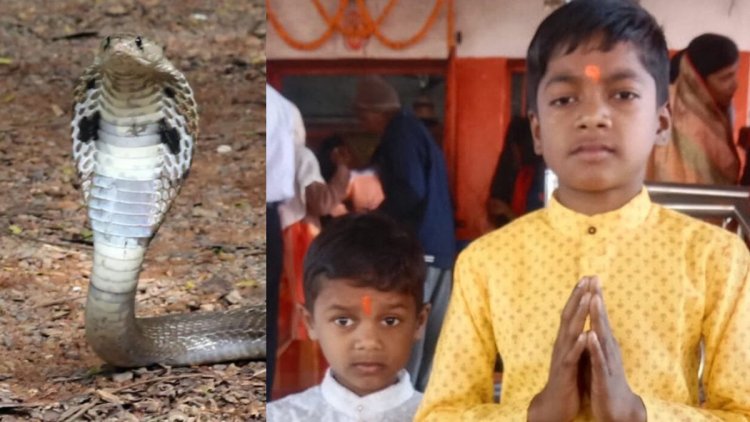 CG : सांप के काटने से दो भाइयों की मौत, गांव में पसरा मातम