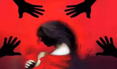 CG – राजधानी में युवती से हैवानियत : दरिंदों ने गैंगरेप की वारदात को दिया अंजाम, अश्लील वीडियों बनाकर किया ब्लैकमेल, फिर जो हुआ…