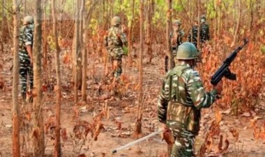 CG : सुरक्षाबलों को बड़ी सफलता, एक करोड़ का इनामी नक्सली ढेर
