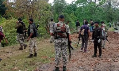 बीजापुर में नक्सलियों के खिलाफ बड़ा अभियान, दो महिला समेत पांच नक्सली ढेर, कुल सात शव बरामद