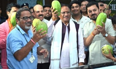 आम की खेेती किसानों की आय बढ़ाने में मददगार: मुख्यमंत्री विष्णु देव साय