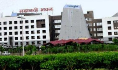 Transfer : मंत्रालय कैडर के 4 अनुभाग अधिकारियों का तबादला, देखें लिस्ट, किसे कहां मिली पोस्टिंग