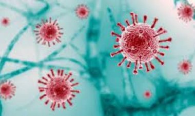 Corona Update : देशभर में फिर बढ़ने लगा कोरोना का कहर, राजधानी में एक्टिव केस 700 के पार, अब तक 7 की मौत…