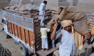 12 हजार से अधिक बोरी खाद जप्त रासायनिक खाद के अवैध भंडारण के खिलाफ प्रशासन ने की कार्यवाही