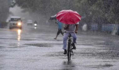 Weather Update : छत्तीसगढ़ में एक बार फिर मानसून सक्रिय, राजधानी समेत कई जिलों में झमाझम बारिश के आसार, जानें IMD का अलर्ट