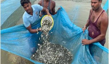 कांकेर बना छत्तीसगढ़ का सबसे बड़ा मत्स्य बीज उत्पादक और निर्यातक जिला