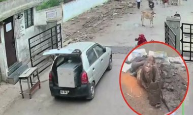 Trunk Murder Case : सुटकेश में मिली लाश की हुई पहचान, दो आरोपी दिल्ली से गिरफ्तार…