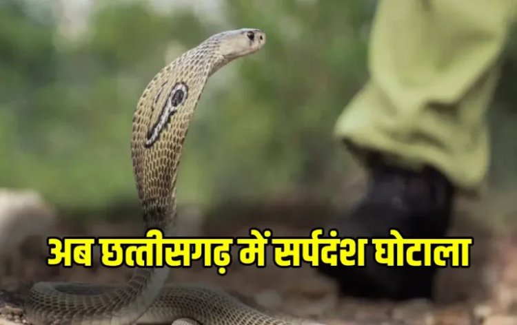 सर्पदंश मुआवजा घोटाले की जांच में बड़ा मोड़, 18 महीने बाद कब्र से निकाला गया शव, दोबारा होगा पोस्टमॉर्टम….