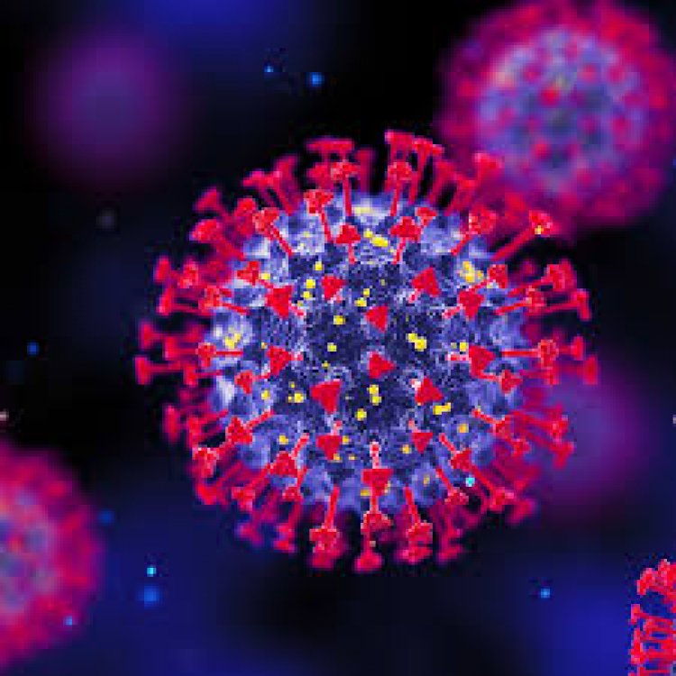 कोविड के मामले, वायरल इंफेक्शन से बचने के लिए करें इन चीजों का सेवन