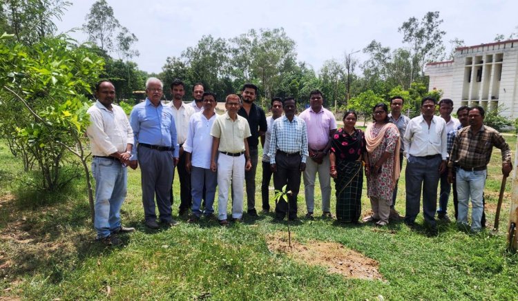 विश्व पर्यावरण दिवस के अवसर पर किया गया वृक्षारोपण