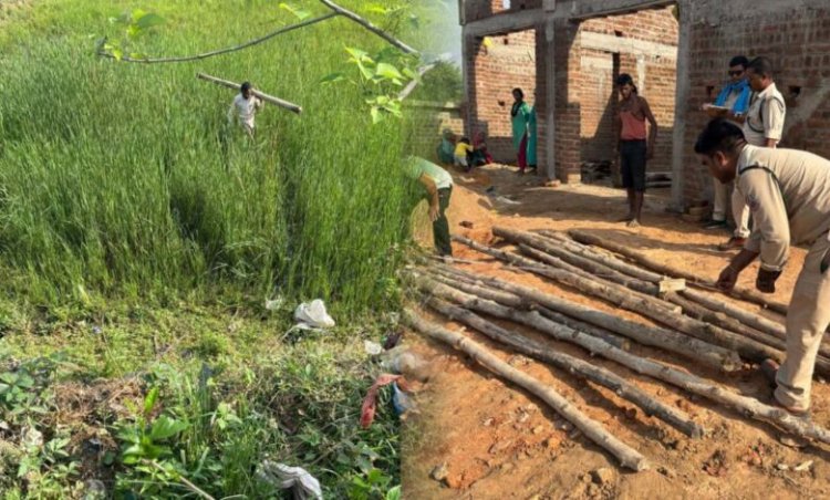 वन विभाग की टीम को बड़ी कामयाबी, भारी मात्रा में अवैध सागौन की बल्लिया जब्त