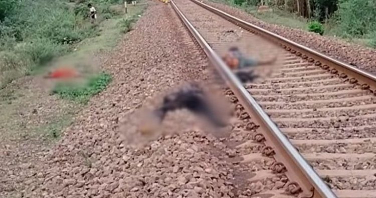 CG में दर्दनाक हादसा : ट्रेन की चपेट में आकर दो मजदूरों की मौत, थककर कर रहे थे आराम, दो की हालत गंभीर