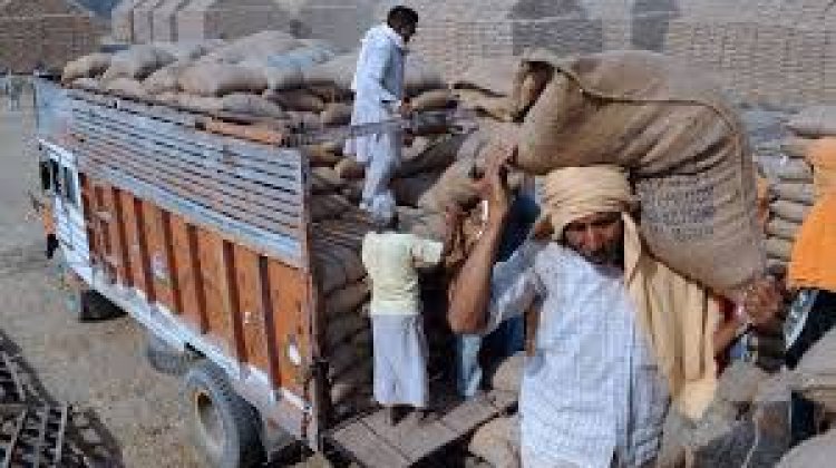 12 हजार से अधिक बोरी खाद जप्त रासायनिक खाद के अवैध भंडारण के खिलाफ प्रशासन ने की कार्यवाही