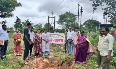 विधायक चातुरी नंद ने महाविद्यालय परिसर में रोपे पौधे