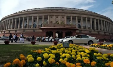 राष्ट्रपति ने राज्यसभा के लिए चार नए सदस्यों को किया नामित, जानें कौन-कौन हैं शामिल