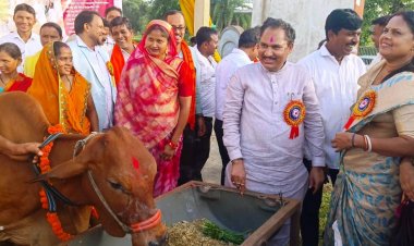  75 आदिवासी महिला किसानों को दी गई दुधारू गायें
