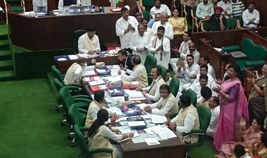Vidhansabha Monsoon Session 2025 : डीएपी खाद की कमी को लेकर विपक्ष ने मचाया हंगामा, सभी कांग्रेस विधायक निलंबित