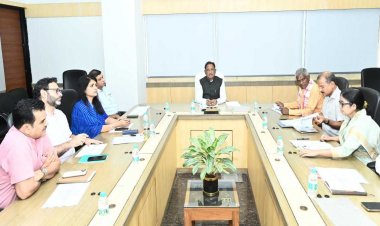 सीएम साय ने ली उच्चस्तरीय बैठक, सड़कों पर घूमने वाले निराश्रित पशुओं की प्रभावी रोकथाम के दिए निर्देश