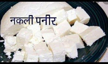 CG -नकली पनीर का गोरखधंधा फिर बेनकाब : राजधानी में पकड़ी गई नकली पनीर की बड़ी खेप, 1535 KG नकली पनीर जब्त