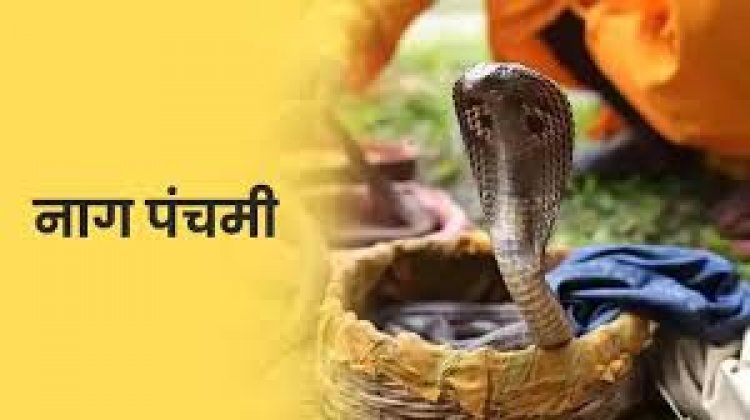 नाग पंचमी के उपाय पति-पत्नि के संबंधों में मधुरता की कमी है, तो नाग पंचमी के दिन भगवान शिव और नाग देव की पूजा करें।