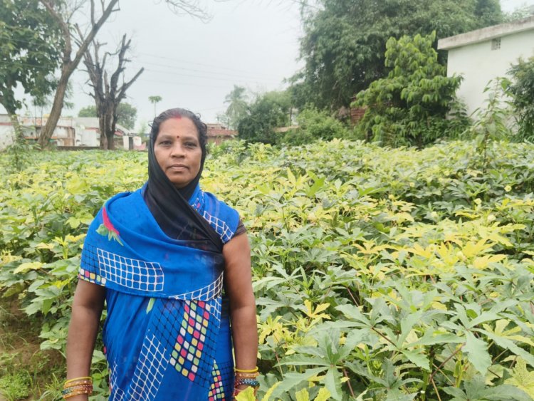 आधुनिक खेती व मेहनत में केतकी बाई को बनाया लखपति दीदी