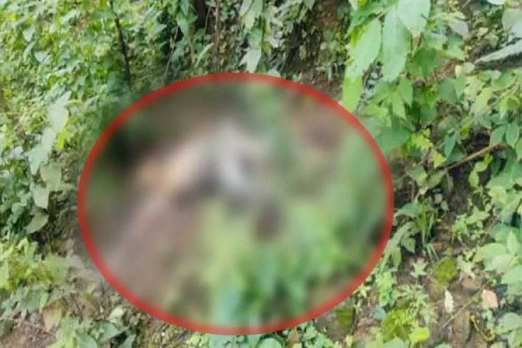 ब्रेकिंग : पूर्व विधायक के भाई की जंगल में मिली सड़ी-गली लाश, जताई जा रही ये आशंका, जांच में जुटी पुलिस…