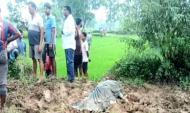 CG : दंतैल हाथी का आतंक, 4 लोगों को उतारा मौत घाट, आधा दर्जन गांवों में अलर्ट