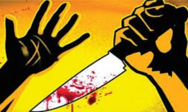 Crime : राजधानी में देवर ने भाभी का किया मर्डर, चाकू मारकर की हत्या