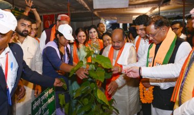 दुर्गापाली में “एक पेड़ मां के नाम” अभियान ने रचा इतिहास – सिंदूर पार्क को मिला गोल्डन बुक ऑफ वर्ल्ड रिकॉर्ड में स्थान