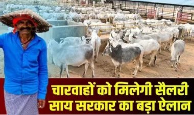 छत्तीसगढ़ में जल्द होगी गौसेवकों और चरवाहों की भर्ती, जानिए कितनी मिलेगी सैलरी?