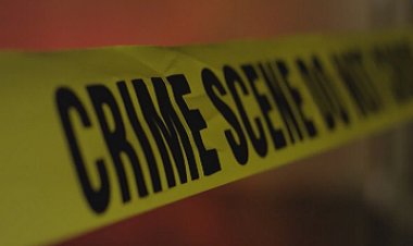 कार में संदिग्ध हालत में मिली सगे भाई-बहन की लाश, इलाके में मचा हड़कंप