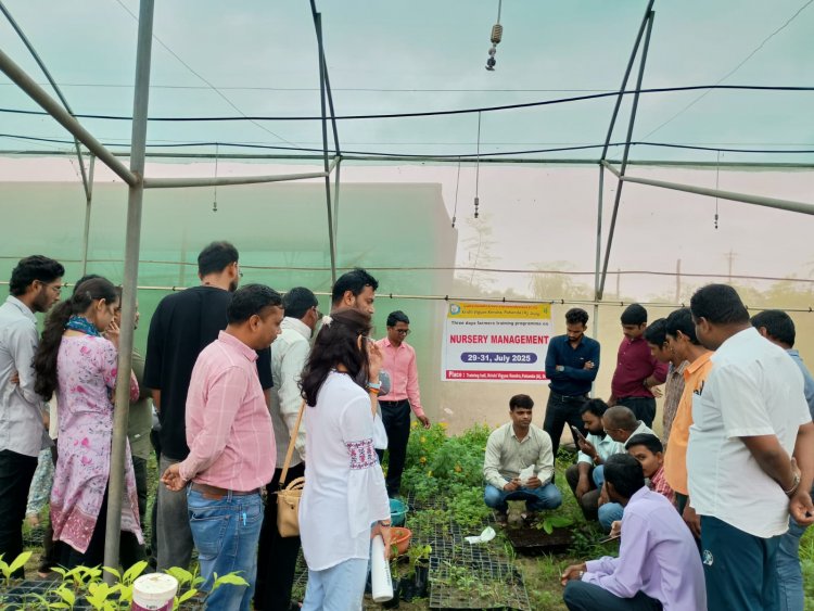 नर्सरी प्रबंधन पर कृषि विज्ञान केन्द्र पाहंदा में प्रशिक्षण संपन्न