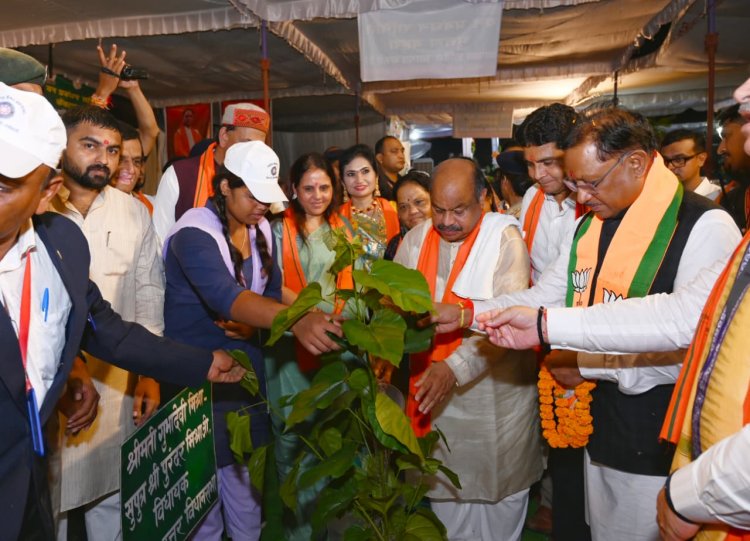 दुर्गापाली में “एक पेड़ मां के नाम” अभियान ने रचा इतिहास – सिंदूर पार्क को मिला गोल्डन बुक ऑफ वर्ल्ड रिकॉर्ड में स्थान