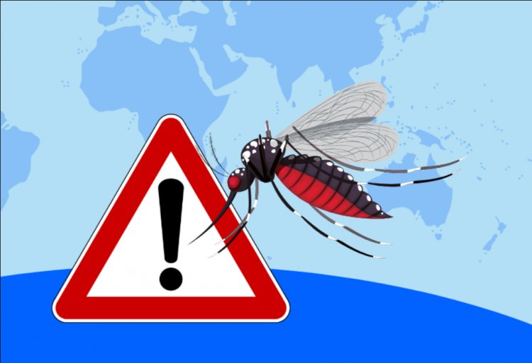हर साल 10 लाख मनुष्यों का शिकार करते हैं मच्छर