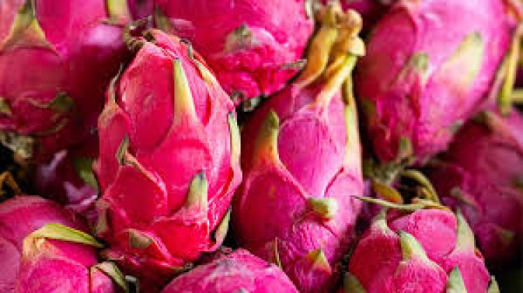 ड्रैगन फ्रूट: इस सुपरफूड से जुड़े स्वास्थ्य और तंदुरुस्ती के फायदे