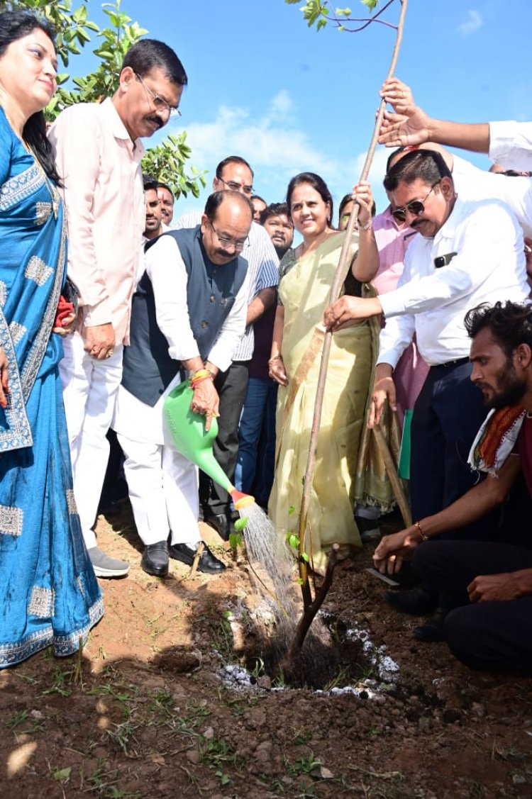 पर्यावरण के प्रति जागरूक हो ज्यादा से ज्यादा संख्या में लगाएं पौधे -  अरुण साव