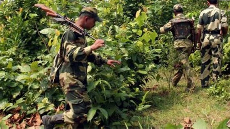 CG : “बीजापुर में नक्सली हमले की तैयारी नाकाम, जवानों ने बरामद किया शक्तिशाली IED”