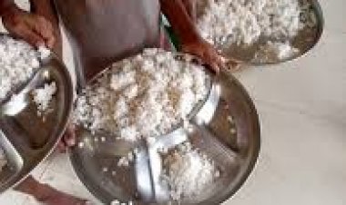 छात्रों को भोजन में केवल नमक परोसे जाने की शिकायत पर जिला प्रशासन ने कड़ा संज्ञान लिया है।