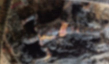 दिल दहला देने वाली घटना… खाट पर सो रही बुजुर्ग महिला की जिंदा जलकर मौत, इलाके में फैली दहशत