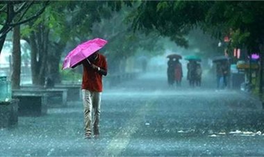 Rain Alert: अगले 24 घंटे होगा भारी बारिश का तांडव, IMD ने इन जिलों में जारी किया हाई अलर्ट