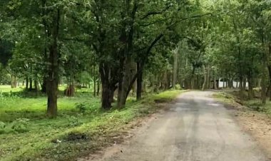 रवेल से तराईबेडा मार्ग का किया गया मरम्मत