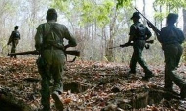 Breaking : कांकेर-धमतरी-ओडिशा बार्डर में तीन नक्सली ढेर, शव बरामद