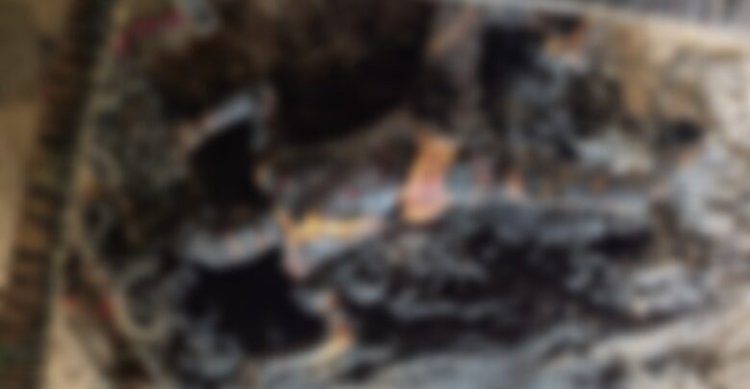 दिल दहला देने वाली घटना… खाट पर सो रही बुजुर्ग महिला की जिंदा जलकर मौत, इलाके में फैली दहशत