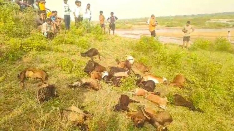 BREAKING : आकाशीय बिजली गिरने से 27 मवेशियों की मौत, 3 परिवारों की आजीविका संकट में