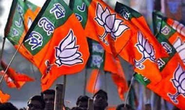 BREAKING : भाजपा जिला पदाधिकारियों की घोषणा, जानिए किन्हे मिली उपाध्यक्ष, मंत्री और कोषाध्यक्ष की जिम्मेदारी