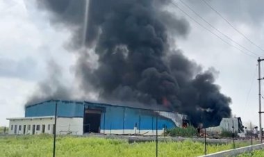 CG Breaking : पाइप फैक्ट्री में लगी भीषण आग, आसमान में छाया काले धुएं का गुबार…करोड़ों का सामान जलकर खाक