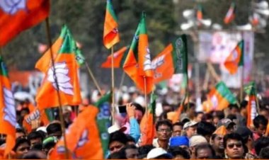 भाजपा में “लेटर बम” का धमाका! संगठन में मचा हड़कंप, चुनावी समीकरण पर असर की आशंका