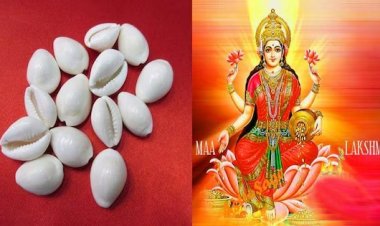 Diwali 2025 : धनतेरस और दिवाली पर खरीदें कौड़ी, खुद चलकर आएंगी मां लक्ष्मी